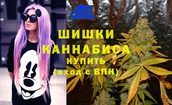 тгк Верхний Тагил
